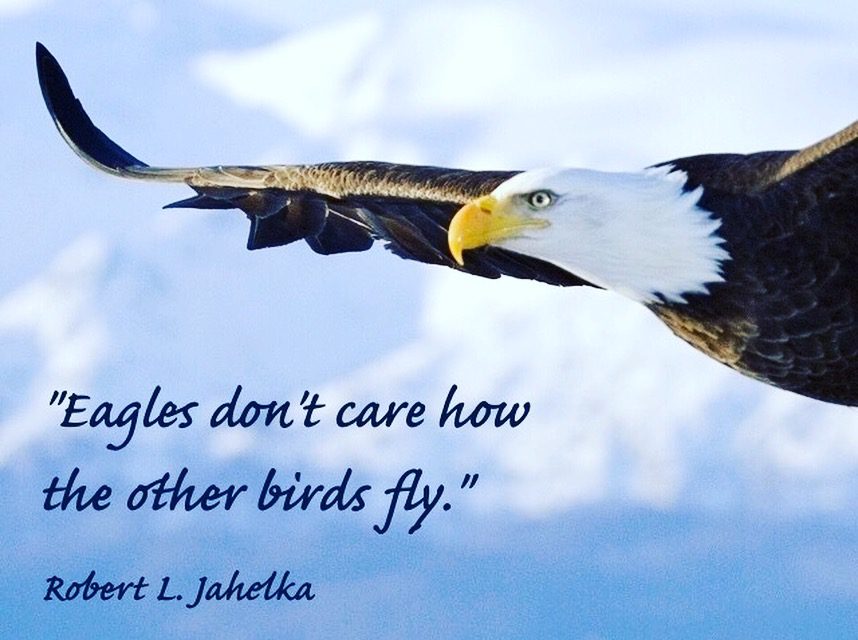 Eagles Don’t Care